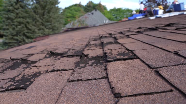 Roof Coating Services in Grandyle Village, NY