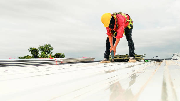 Best Skylight Installation and Repair  in Grandyle Village, NY
